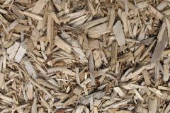 biomass boilers Snitton